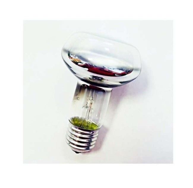 Лампа накаливания ЗК40 R63 230-40Вт E27 (50) Favor 8105010 Лампа накаливания ЗК40 R63 230-40Вт E27 (50) Favor 8105010