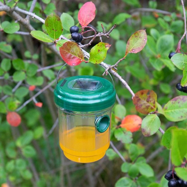 Ловушка для ос R 30м, на солнечной батарее REXANT Ловушка для ос R 30м, на солнечной батарее REXANT