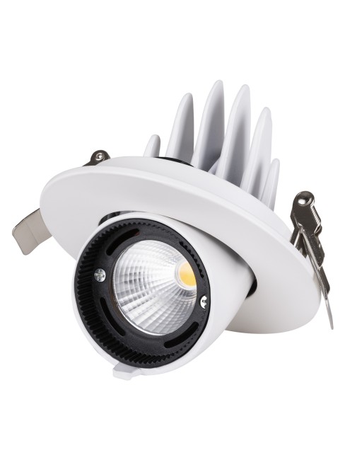 Светильник встраиваемый поворотный "Акцент-1" LED DSL-01-018-WW 18 Вт, 24°, 3000 К, 90 Ra, IP40, TDM Светильник встраиваемый поворотный "Акцент-1" LED DSL-01-018-WW 18 Вт, 24°, 3000 К, 90 Ra, IP40, TDM