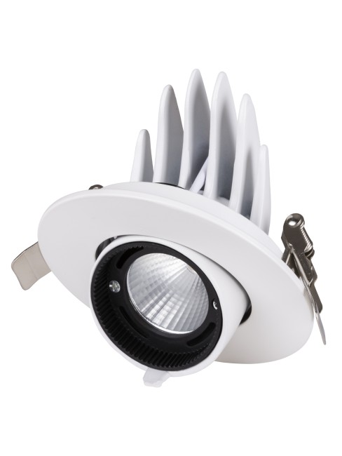 Светильник встраиваемый поворотный "Акцент-1" LED DSL-01-018-WW 18 Вт, 24°, 3000 К, 90 Ra, IP40, TDM Светильник встраиваемый поворотный "Акцент-1" LED DSL-01-018-WW 18 Вт, 24°, 3000 К, 90 Ra, IP40, TDM