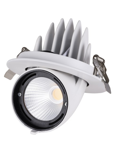 Светильник встраиваемый поворотный "Акцент-1" LED DSL-01-030-WW 30 Вт, 24°, 3000 К, 90 Ra, IP40, TDM Светильник встраиваемый поворотный "Акцент-1" LED DSL-01-030-WW 30 Вт, 24°, 3000 К, 90 Ra, IP40, TDM