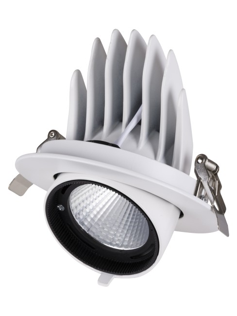 Светильник встраиваемый поворотный "Акцент-1" LED DSL-01-030-WW 30 Вт, 24°, 3000 К, 90 Ra, IP40, TDM Светильник встраиваемый поворотный "Акцент-1" LED DSL-01-030-WW 30 Вт, 24°, 3000 К, 90 Ra, IP40, TDM