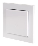 Модуль управления по радиоканалу FW-WSO2 Модуль управления по радиоканалу FW-WSO2