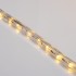 Дюралайт LED, постоянное свечение (2W) - ТЕПЛЫЙ БЕЛЫЙ Эконом 24 LED/м, бухта 100м
