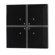 Модуль управления по радиоканалу FW-GS4-230B