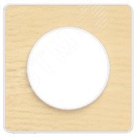 ODACE Рамка 1 пост бук