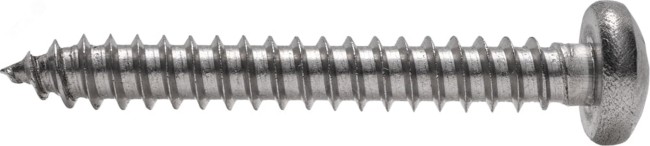 Саморез с полукруглой головкой DIN 7981  4,2x 60 A2