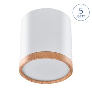 Светодиодный светильник накладной Luminarte SPOT07-CLL5W-1