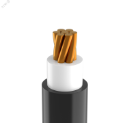 Кабель силовой ВВГнг(А)-LS 1х70 мк(N)-1 ТРТС Кабель силовой ВВГнг(А)-LS 1х70 мк(N)-1 ТРТС