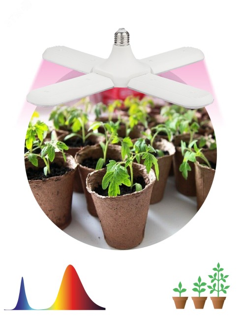 Фитолампа для растений светодиодная FITO-36W-RB-E27-FOLD 4-х лепестковая красно-синего спектра 36 Вт Е27 ЭРА Фитолампа для растений светодиодная FITO-36W-RB-E27-FOLD 4-х лепестковая красно-синего спектра 36 Вт Е27 ЭРА