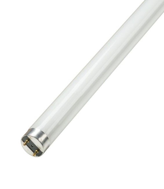 Лампа люминесцентная ЛТ 36Вт/640 36Вт T8 26х1200мм G13 4000К Формула света FGLL30000006627 Лампа люминесцентная ЛТ 36Вт/640 36Вт T8 26х1200мм G13 4000К Формула света FGLL30000006627