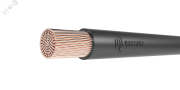 Провод силовой ПуГВнг(A)-LS 1х6 черный ТРТС