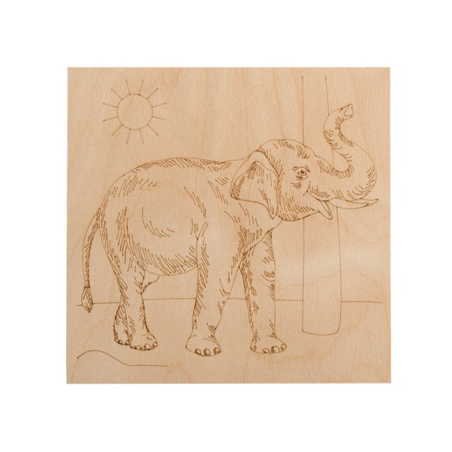 Доски для выжигания «Животные», 150х150мм, набор 5 шт. (белка, слон, сова, ежик, тигр) пакет REXANT Доски для выжигания «Животные», 150х150мм, набор 5 шт. (белка, слон, сова, ежик, тигр) пакет REXANT