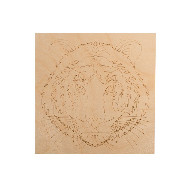 Доски для выжигания «Животные», 150х150мм, набор 5 шт. (белка, слон, сова, ежик, тигр) пакет REXANT Доски для выжигания «Животные», 150х150мм, набор 5 шт. (белка, слон, сова, ежик, тигр) пакет REXANT