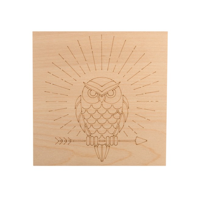 Доски для выжигания «Животные», 150х150мм, набор 5 шт. (белка, слон, сова, ежик, тигр) пакет REXANT Доски для выжигания «Животные», 150х150мм, набор 5 шт. (белка, слон, сова, ежик, тигр) пакет REXANT