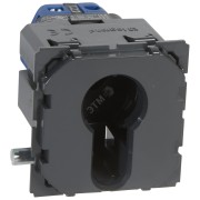 Celiane Выключатель кнопочный с ключом 3-позиционный Celiane Выключатель кнопочный с ключом 3-позиционный