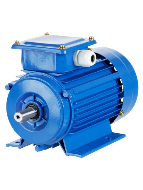 Эл. Двиг. АИР 63B4 0,37 кВт 1500 об/мин 1081 TDM