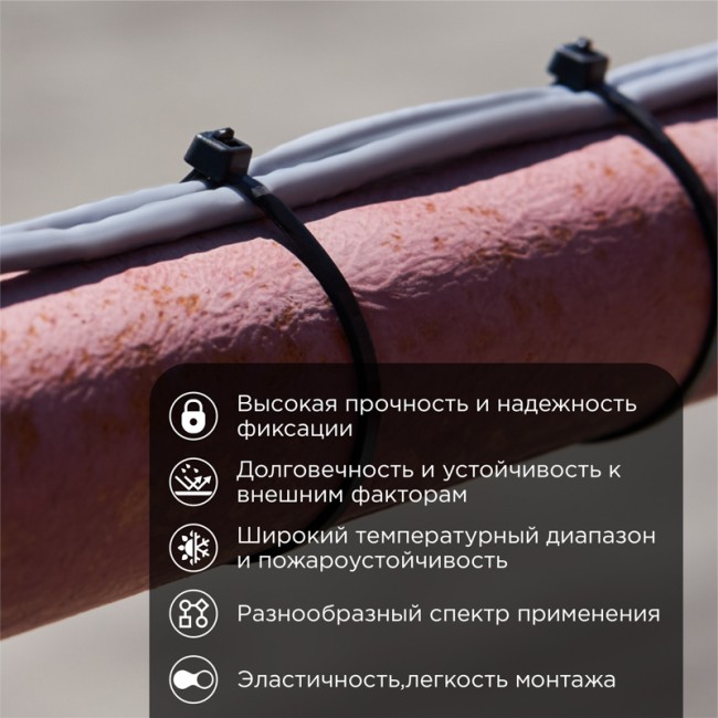 Стяжка кабельная нейлоновая 250x4,8мм, черная (100 шт/уп) REXANT Стяжка кабельная нейлоновая 250x4,8мм, черная (100 шт/уп) REXANT