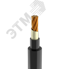 Кабель силовой ППГнг(А)-FRHF 1х50 мк(N)-1 ТРТС
